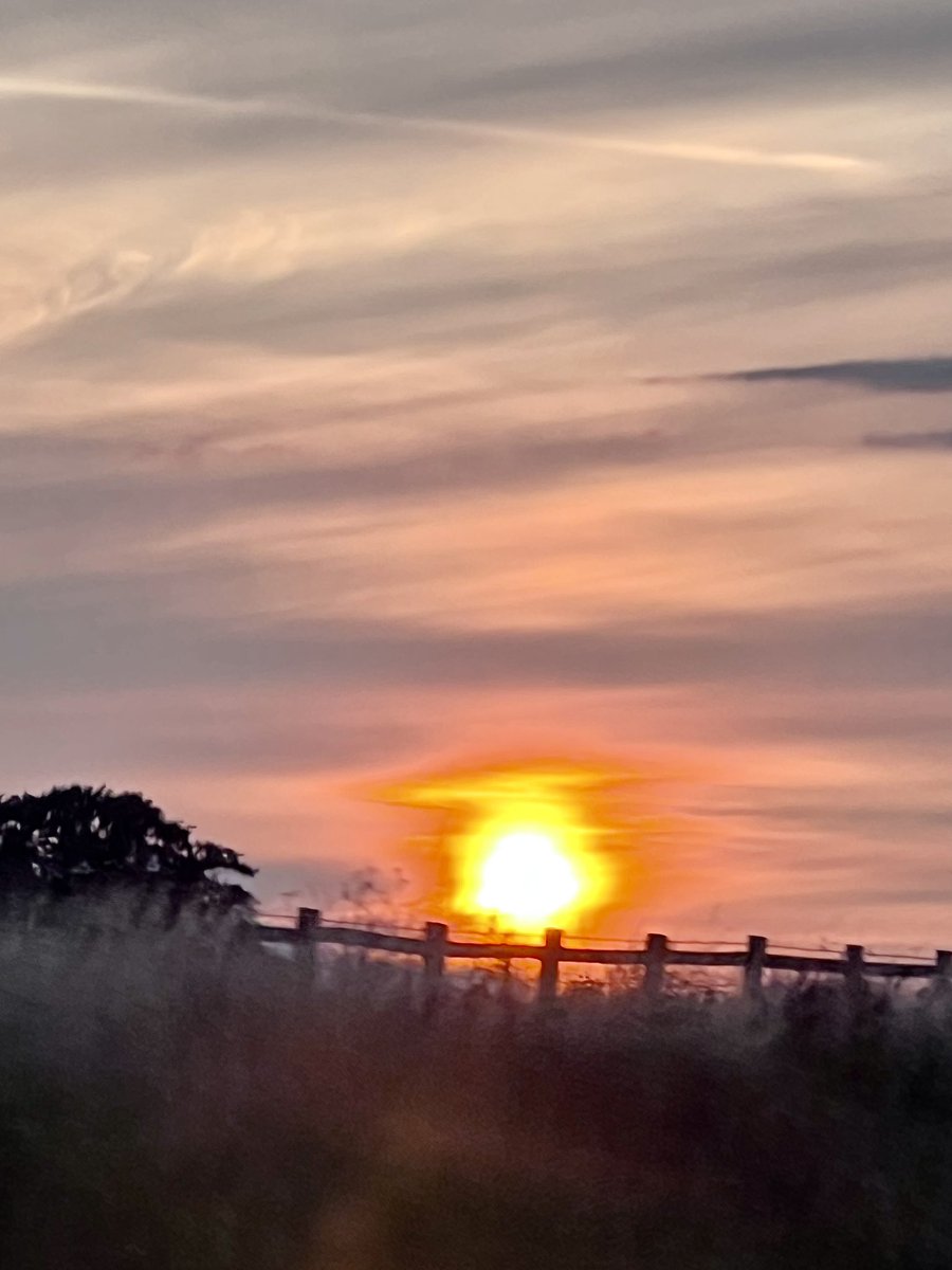 yonel_imre's tweet photo. Beautiful sunset tonight https://t.co/I75Z5HtcMX