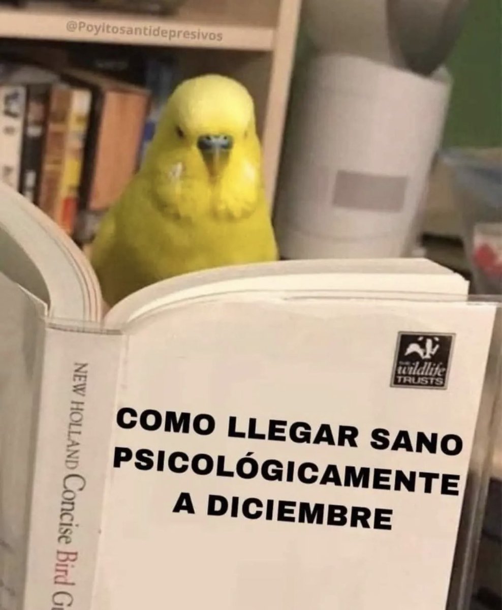 skereunpesado's tweet photo. https://t.co/9ShcQgV6Ji