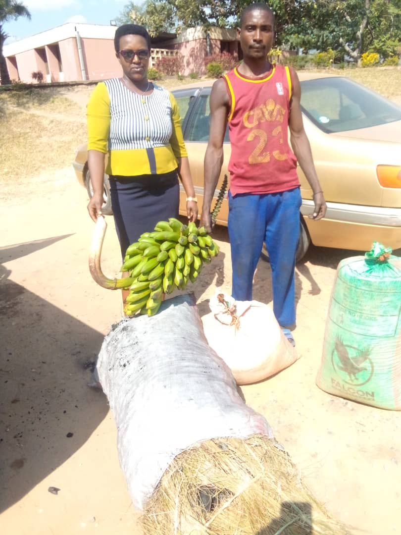 Musonga11's tweet photo. #Burundi,12/7/2023, Musitanteri wa Musongati @RutanaProvince arakenguruka cane umutima wogushigikirana mu mahirwe no mubibazo w' abanyamusongati. Aho hari inyuma yuko yari avuye gushikana agatererano katanzwe kugira gafashe umwana yitwa Éloi agwariye Roi Khaled @MininterInfosBi https://t.co/yefhopwMzk