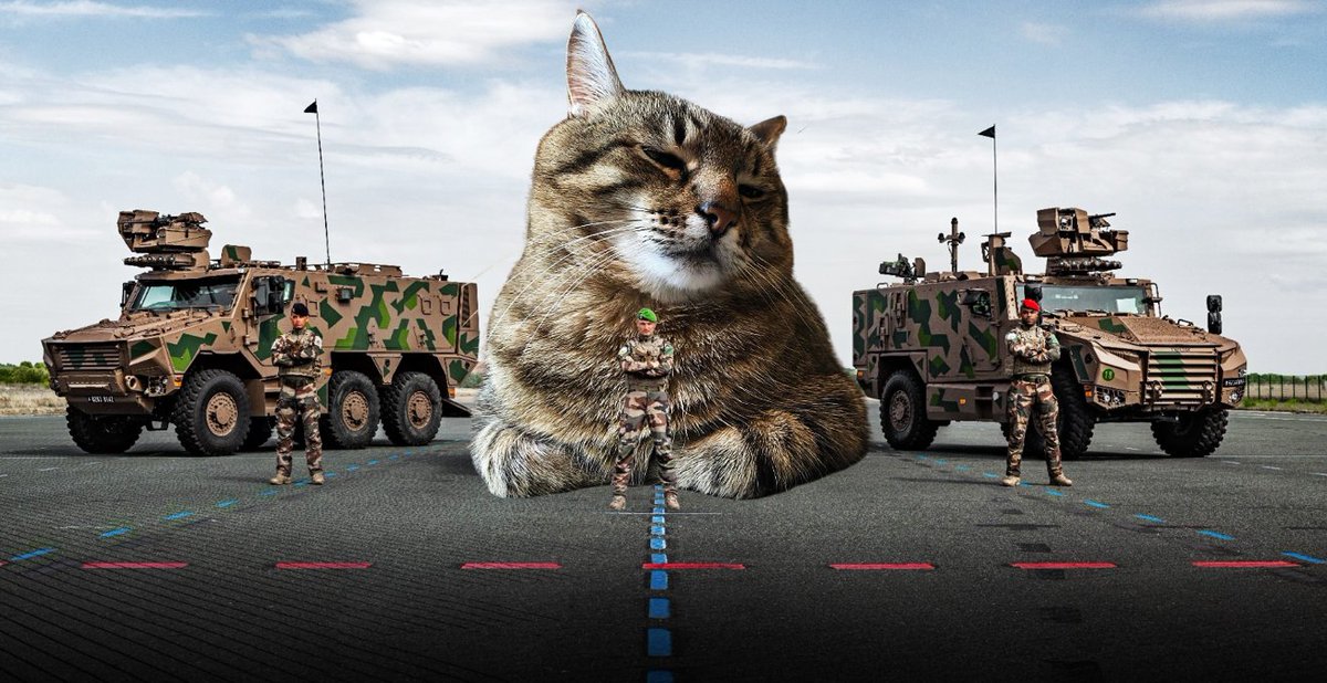 VBMR Griffon / Giant Military Cat /  VBMR L Serval