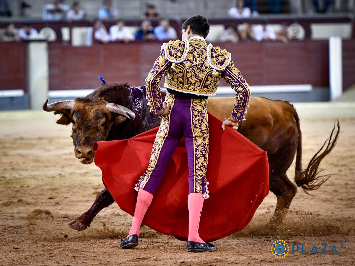 Plaza de Las Ventas tweet media