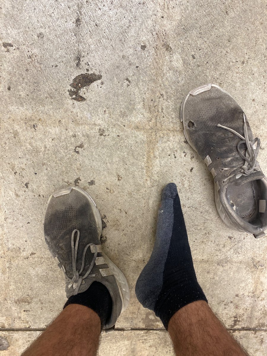 mastercash645's tweet photo. Did you miss me??? If this post gets 15 likes, your favorite master will come back tonight. Show me that you really want it in prove your worth piggies 
@RT4Masters2 @alphaxfindomrt @rt_feet @FOOTMASTERSRT @rt4dom 
#feetfinder #feet #findom #oink4me https://t.co/8BP2ewvQv8