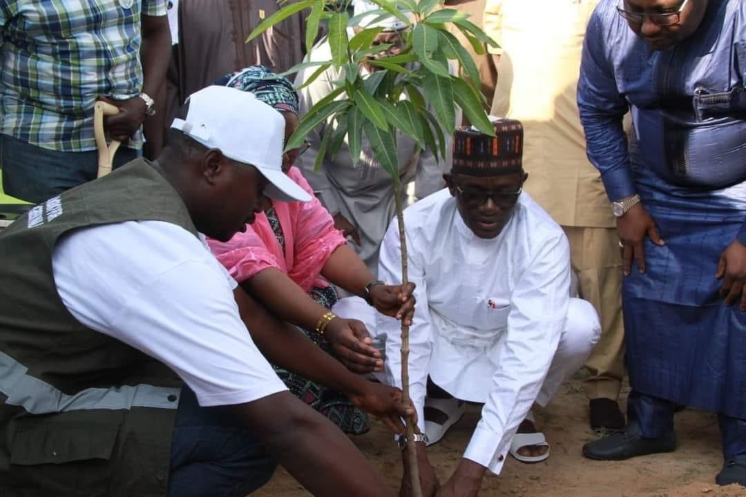 Yobe Governor, Hon. Mai Mala Buni, plants a tree in Damaturu to mark Great Green Wall Day, raising awareness about combating desertification and promoting sustainability. His commitment to environmental conservation inspires citizens for a greener future. #GreatGreenWall
