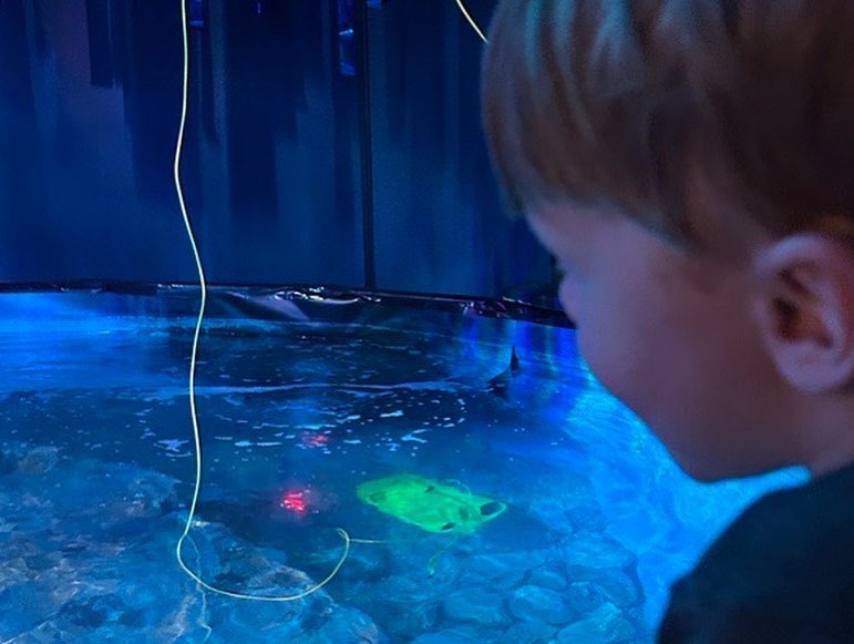 TTU STEM CORE tweet media