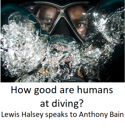 With a little bit of practice we can hold our breath while we #swim underwater for minutes. And our heart rate slows to conserve O2. So are humans evolutionarily adapted to breath-hold #diving? Anthony Bain @BainPhD has the answers to this and much more: https://t.co/UiohIfIjxC https://t.co/k1OZUJlbt7