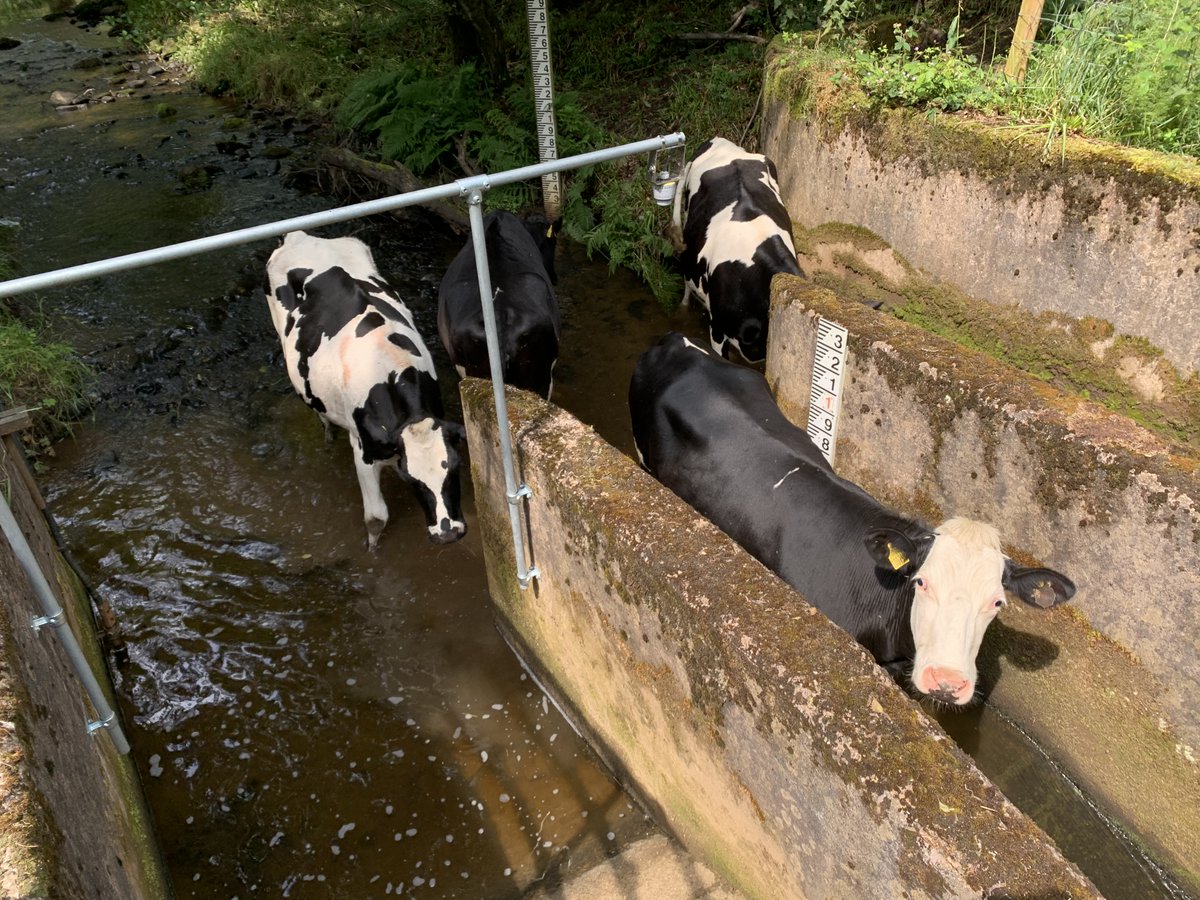 HydrometryEA's tweet photo. We use different volume flow rates to express discharge in #hydrometry, such as l/s, m3/s, ml/d, but we are not sure cows/hr is mentioned in the standards or is going to catch on! https://t.co/FzvRc5xfKk