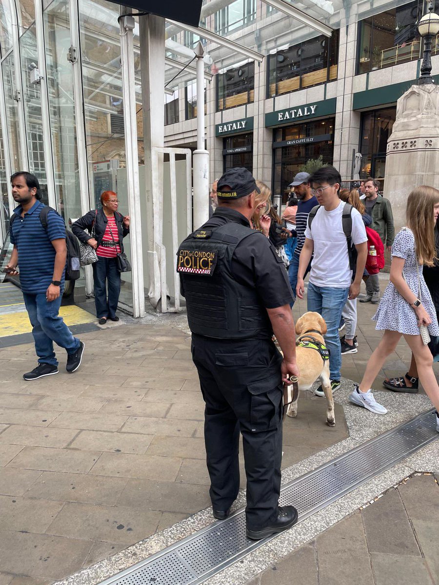 BTP worked alongside City of London Police today, many stop searches took place with help of a passive drugs dog; this resulted in 7 positive stops. Our BTP Violent Crime Task Force stopped and searched a male who was carrying a large knife. #BTP #VCFT #CityofLondonPolice