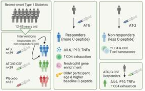 Exciting News Alert! 🌟 We're thrilled to share the groundbreaking research article on the impact of low-dose ATG in T1D treatment! 🩺🔬 #DiscoveringNewHorizons🤔 Curious about the findings? Check the insight.jci.org/articles/view/… #ufdi #ufdiabetesinstitute #t1d 
#Type1Diabetes