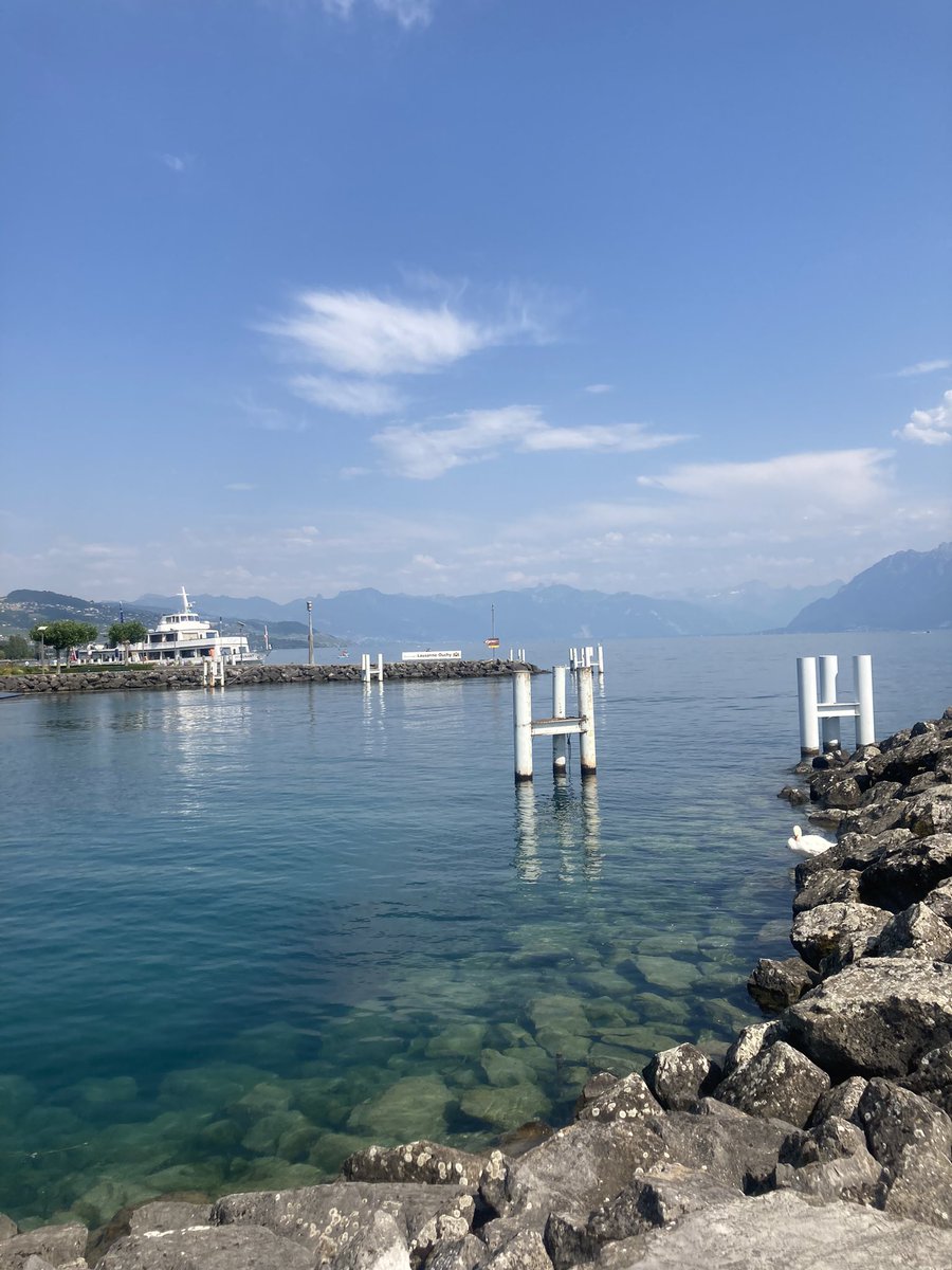 Had a wonderful time in Lausanne at #IEPA14 sharing research findings &amp; learning from colleagues old and new. Perfect end to study leave. Highlights included <a href="/MichaelMarmot/">Sir Michael Marmot</a> on social determinants of health. Back <a href="/UEA_ClinPsyD/">UEA Clinical Psychology</a> <a href="/UeaMed/">MED UEA</a> next week feeling inspired and energised!