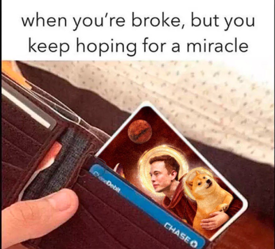 💸💸💸 tweet media