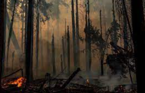 SeanPaige's tweet photo. It's not the climate; it's the forest fuels build-up on neglected and mismanaged federal lands: https://t.co/RDtcXQuO7s
Thanks for correcting the record, @MackinacCenter.
#copolitics #publiclands #wilfires @forestservice https://t.co/ibPWJygIGL