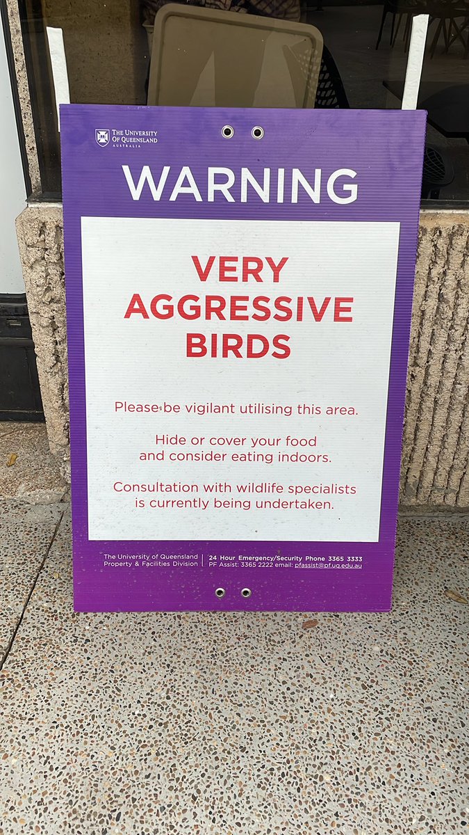 Sam MacAulay tweet media