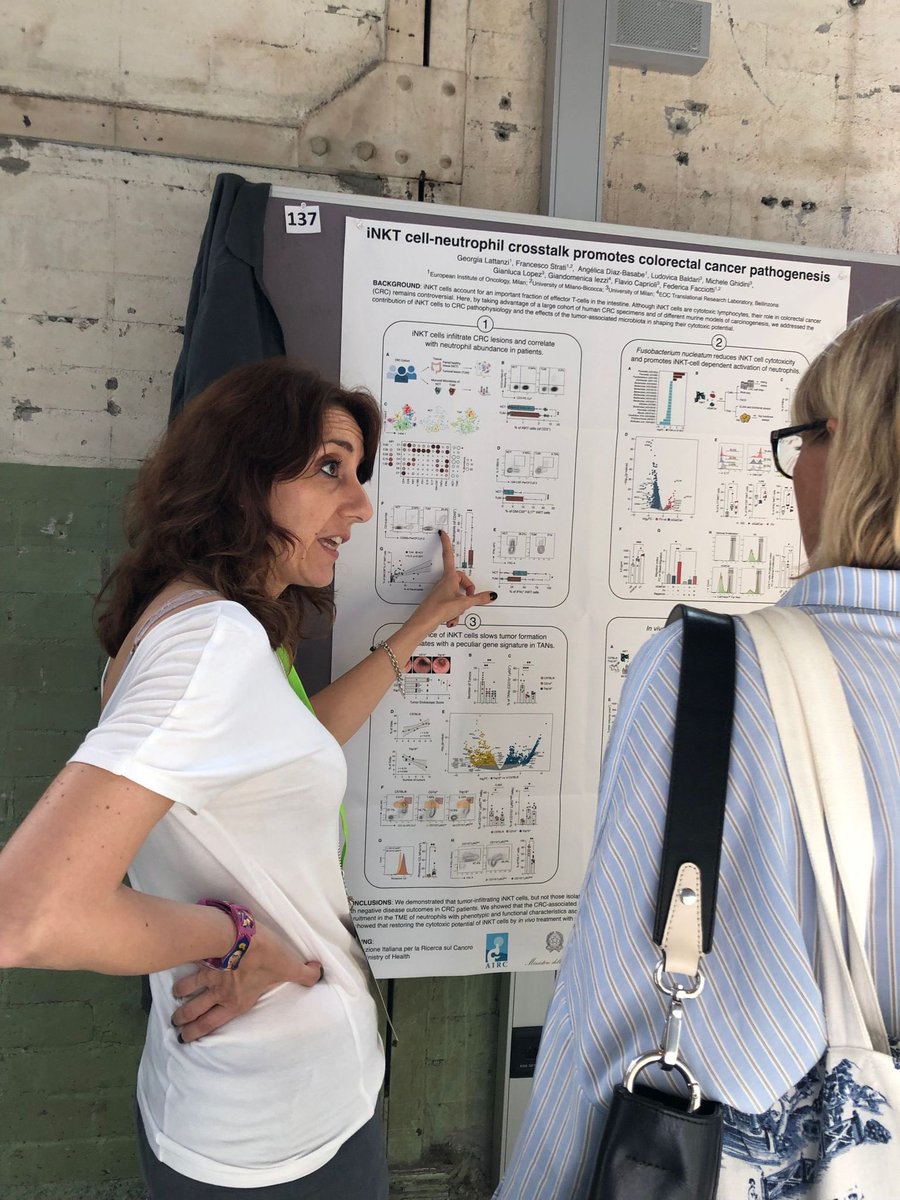 federicafacciot's tweet image. After long time (years!) I did a poster session at #EMIG2023 and really enjoyed it! Cool discussions about up and downs of a project started 8 years ago, was published in march but it is still providing tons of data and new ideas. 
Did I say I love my job? @LoungeTcell