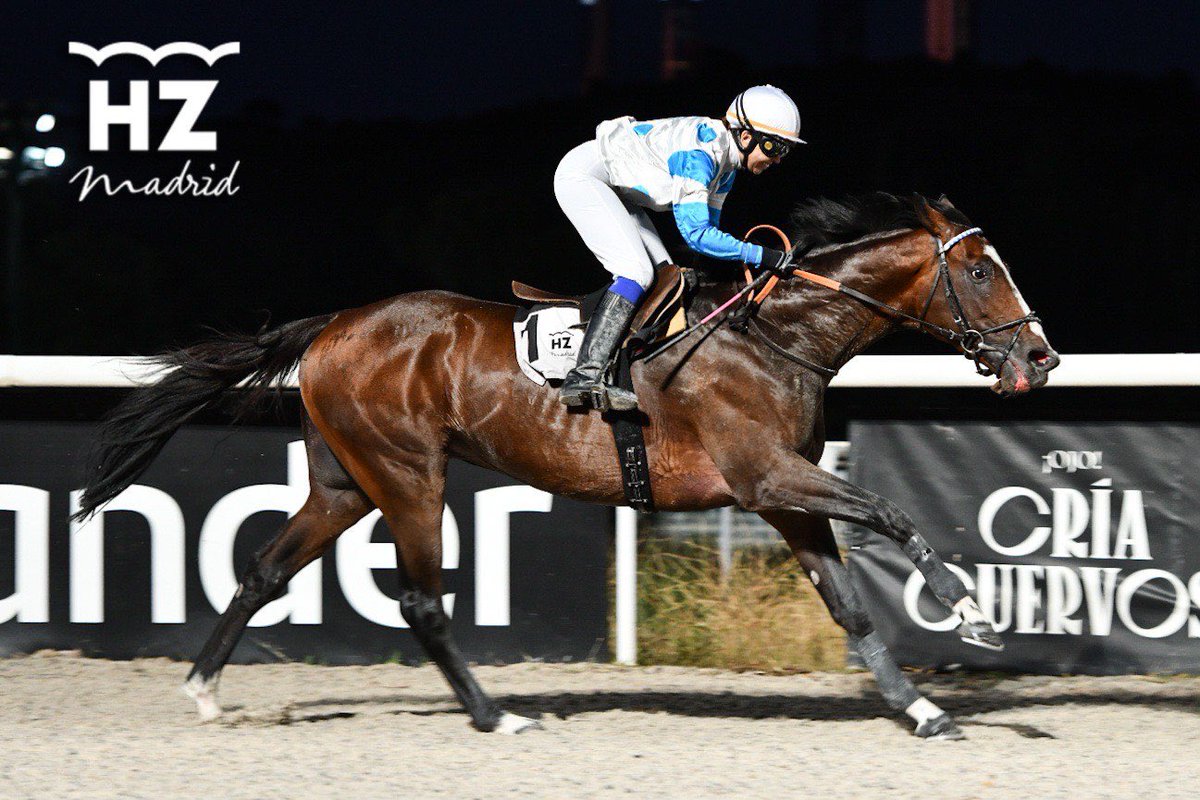 Enhorabuena a la Cuadra <a href="/shalakibouki/">Reza Pazooki</a>, por la victoria de STOUR (Frankel) en el Premio Julián de Olivares y Bruguera. Preparación de <a href="/OscarAn26460915/">Oscar Anaya</a> y monta de <a href="/Olgaamoreno/">Olga Moreno</a>. 🏇🏆🌛