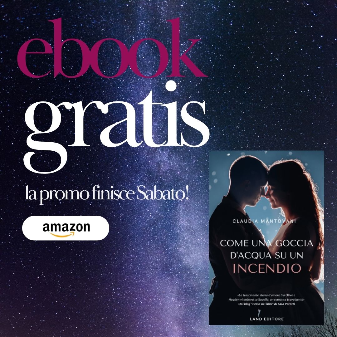 land editore tweet media