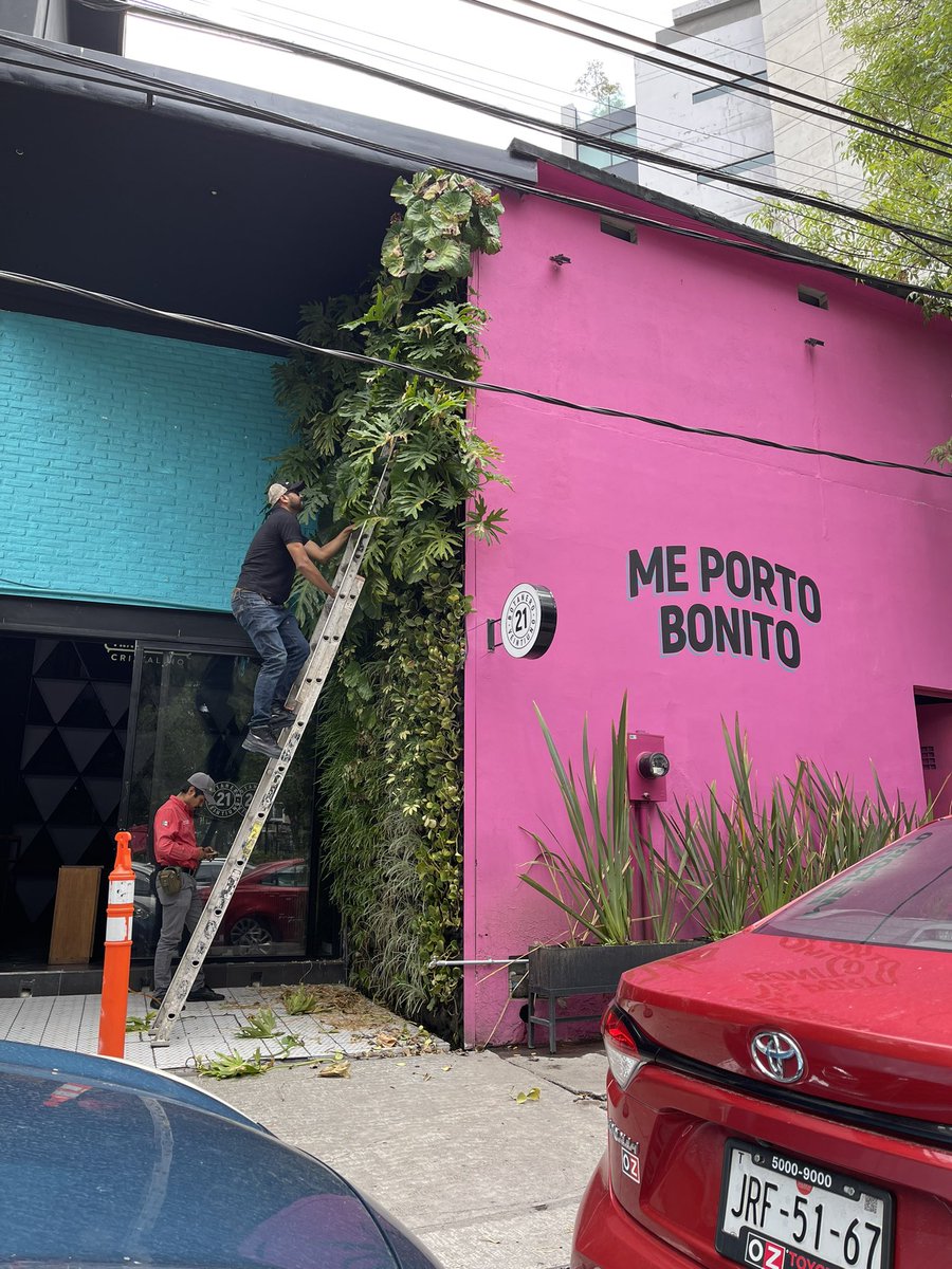 All Green tweet media