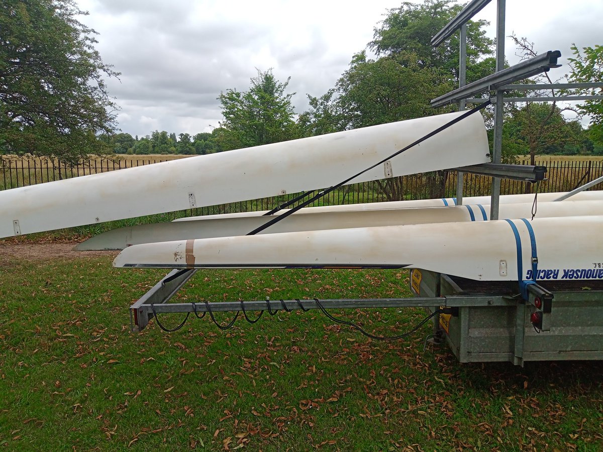 Bloody hell. I left the Janos unsupervised for five minutes and they're at it like rabbits.