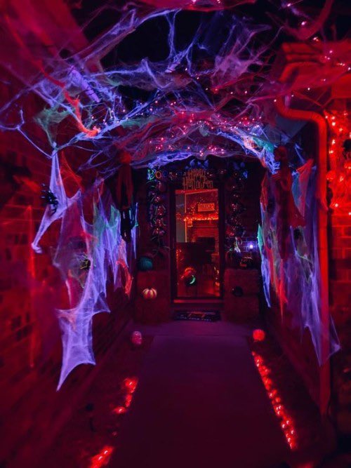 aperfectpumpkin's tweet photo. Movie night here would be such a vibe https://t.co/mbomO4HplU