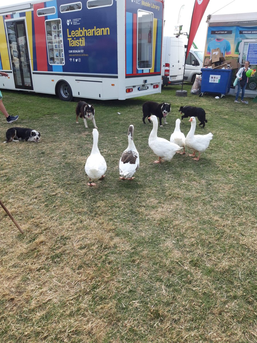 An amazing day today at @BannowRShow with the @EIPAGRI_SP display. So much engagement with young & old on water quality, farming, measures for water quality, kick sampling and all the rest. @wexfordcoco @TeagascACP @WatersProgramme