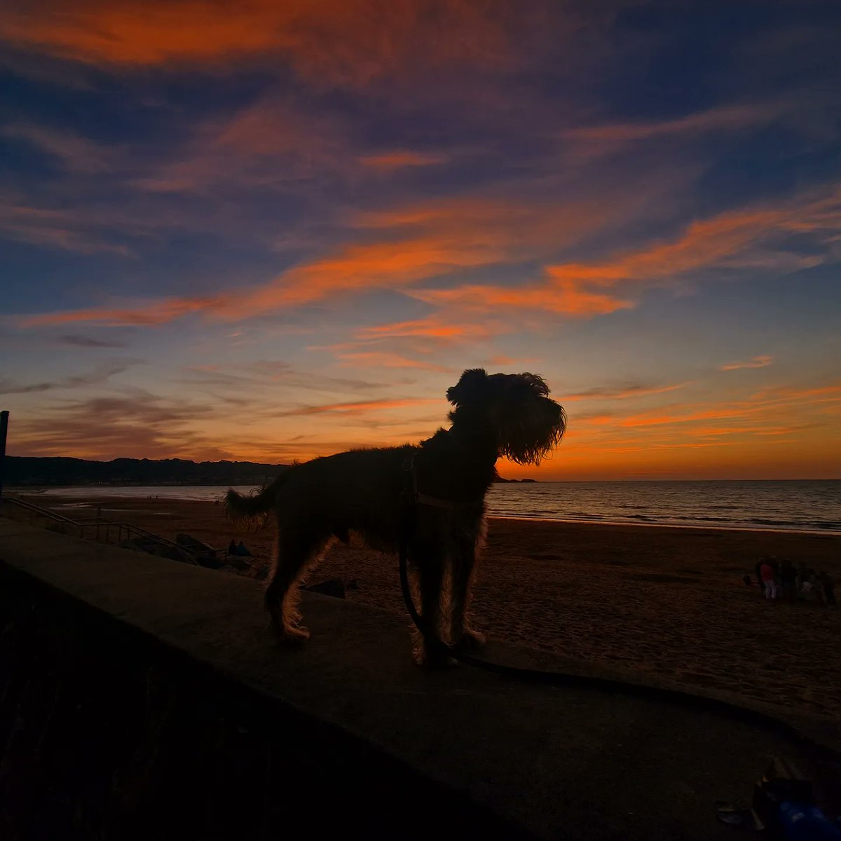 eireodin's tweet photo. Disfrutando del #Atardecer de regreso a casa después de la fiesta...
Para todo lo demás #Mastercad https://t.co/nfW0dE02to