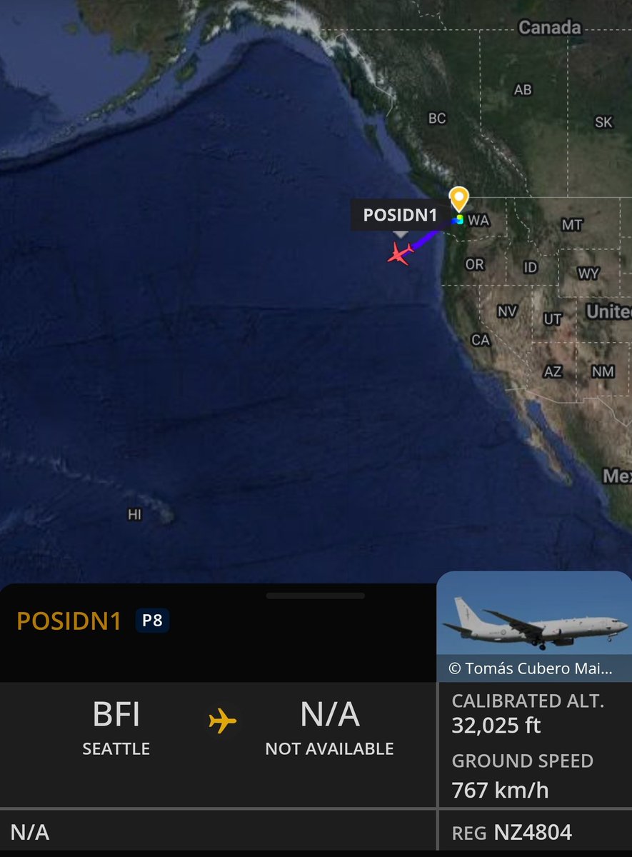 AvScanNZ 🇳🇿 tweet media