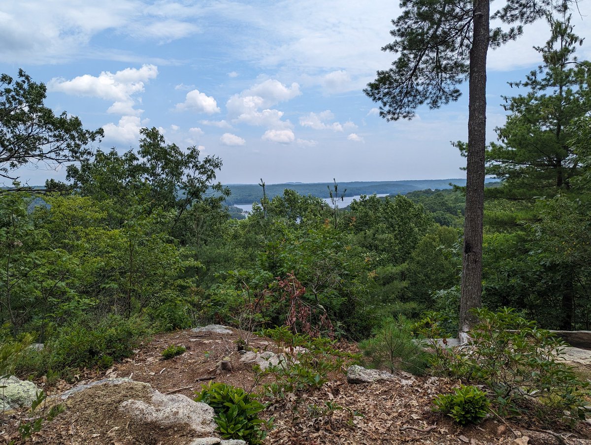 TylerSheinberg's tweet photo. @brooksrunning Today's view. Weston, CT https://t.co/mwLV2XCmf2