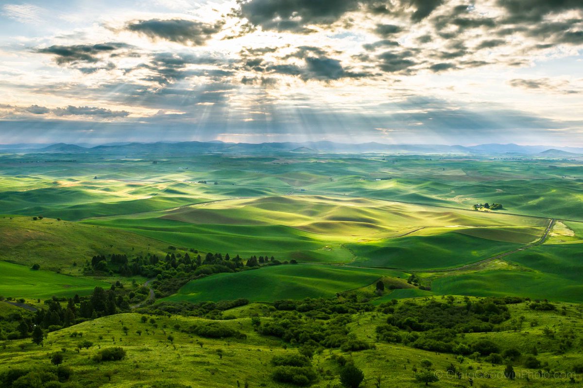 Amazing Earth tweet media