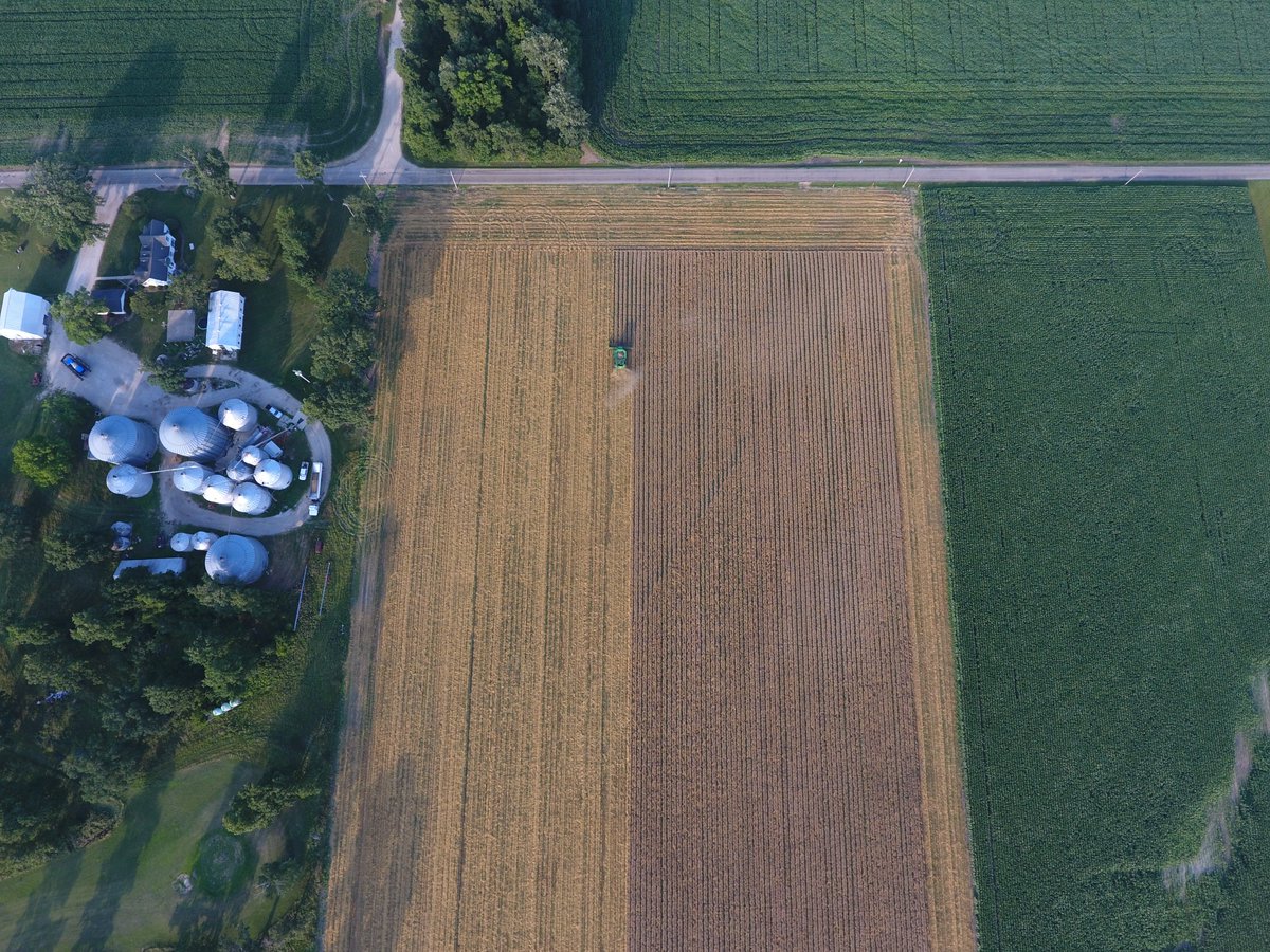 Organic matter :   The original carbon credit