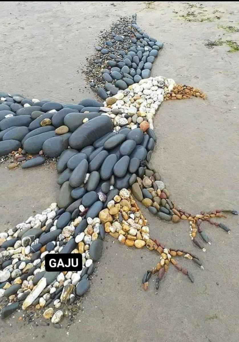 إكرام الله (@ikramullah5854) on Twitter photo 