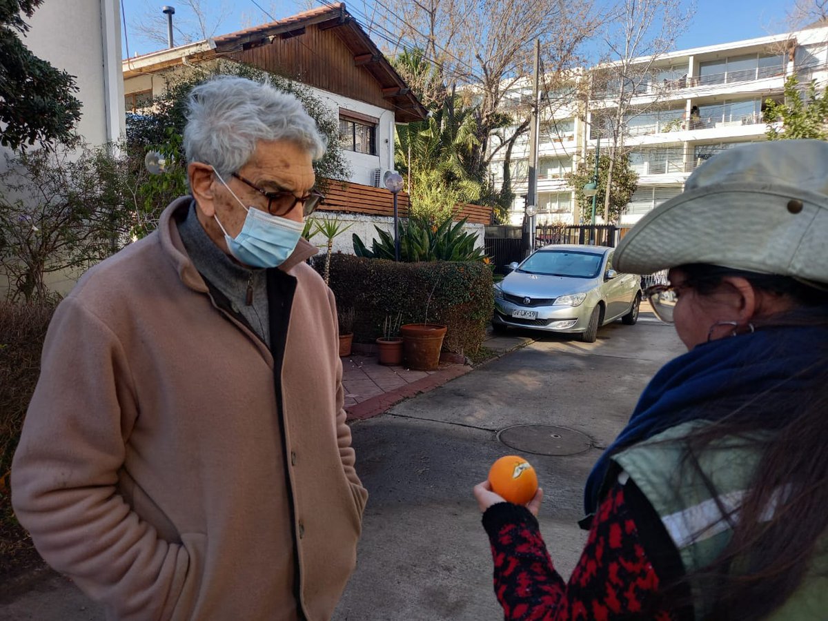 sagchile's tweet photo. Funcionari@s del equipo de muestreo de la campaña Mosca de la Fruta 🍒🍑 de @sagchile #RM, obtienen muestras frutales en viviendas y espacios públicos en #Ñuñoa, #Independencia y #Maipú como parte de las labores de control y vigilancia de la plaga https://t.co/awZEBevyHL