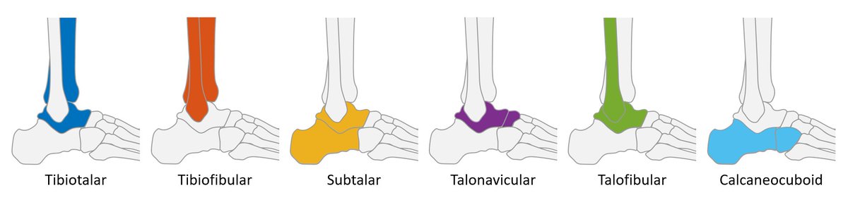 When you spend enough time in <a href="/Adobe/">Adobe</a> Illustrator, magic can happen 🪄😃