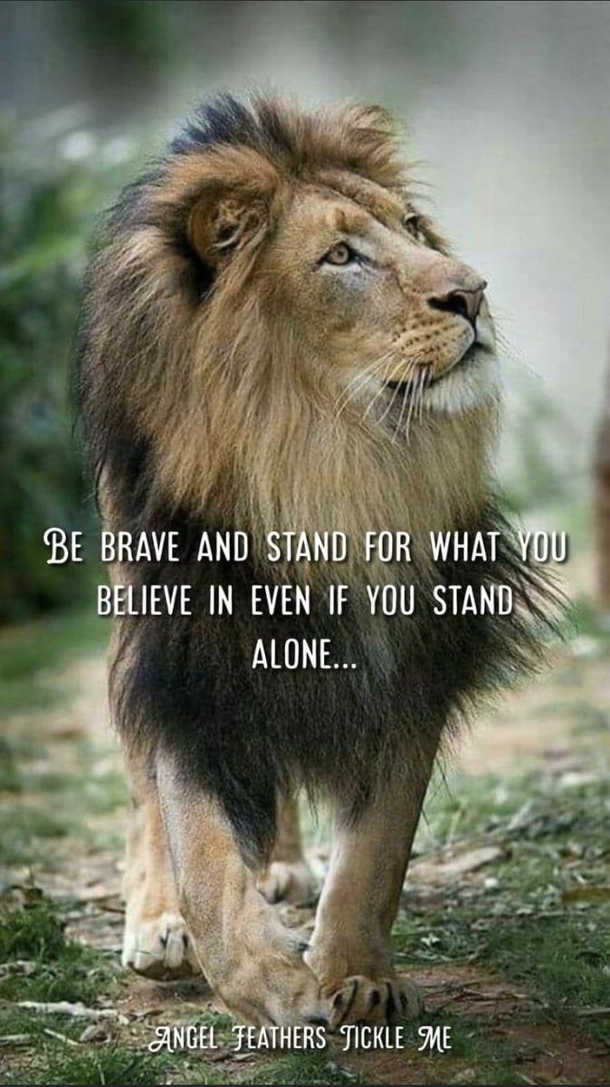 🌺🌸Alice Rivage 🌸🌺 tweet media