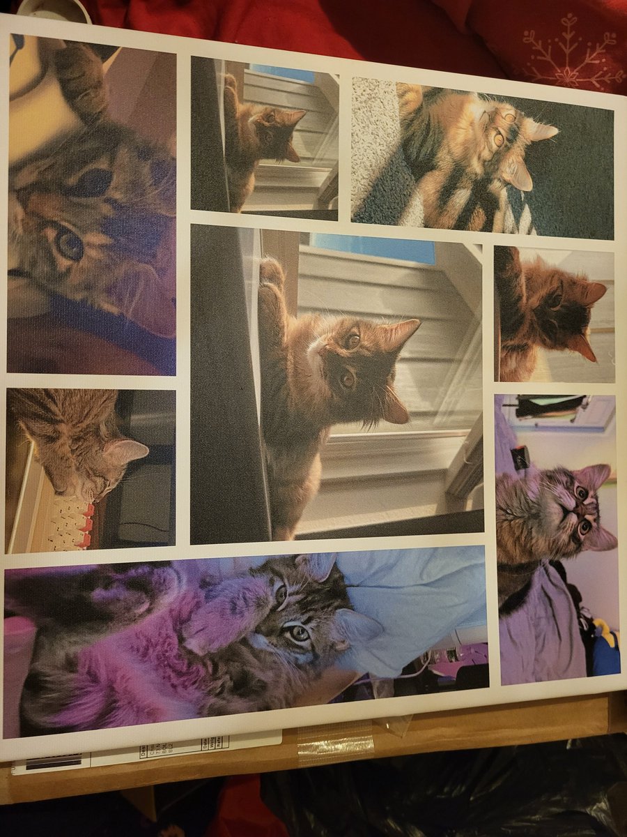 ThatGirlChaz's tweet photo. Hey @Pezzy__ I got this made when you first opened your po box and I didn't send it because there's a double picture, I've got to move house would you still like it? https://t.co/PiC37Svp3f