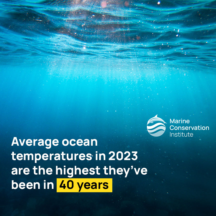 savingoceans tweet media