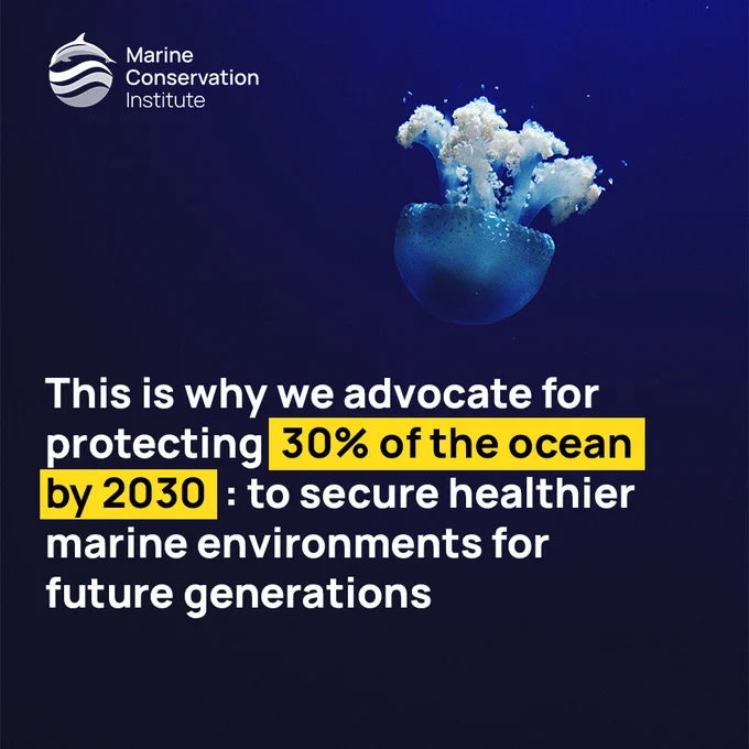 Image from savingoceans (@savingoceans)