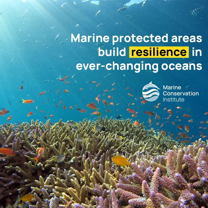 Image from savingoceans (@savingoceans)