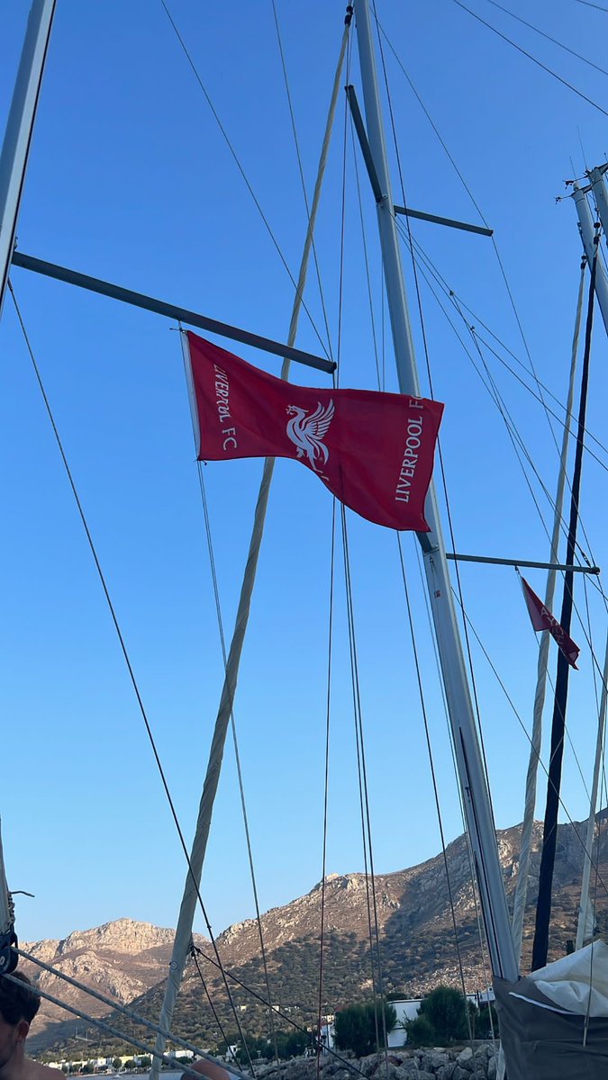 Just Jill tweet media