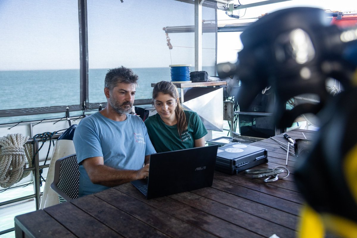 Shark Ecology Australia (SEA) (@sharkecoaus) on Twitter photo National Geographic's #SharkFest has started. Did you spot some familiar faces? 😉 it was US! <a href="/froggirl_mariel/">Dr Mariel Familiar L. 🐸🔬🦈</a> & <a href="/Dr_hammerhead/">Dr Johan Gustafson</a> Our #shark #documentary "Bull Shark Bandits" opened #SharkFest2023 Go watch some #science w/ a bite!
<a href="/NatGeoTV/">National Geographic TV</a> #sharkresearch #DisneyPlus #bullshark National Geographic's #SharkFest has started. Did you spot some familiar faces? 😉 it was US! <a href="/froggirl_mariel/">Dr Mariel Familiar L. 🐸🔬🦈</a> & <a href="/Dr_hammerhead/">Dr Johan Gustafson</a> Our #shark #documentary "Bull Shark Bandits" opened #SharkFest2023 Go watch some #science w/ a bite!
<a href="/NatGeoTV/">National Geographic TV</a> #sharkresearch #DisneyPlus #bullshark