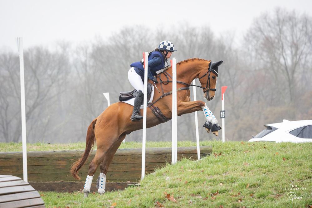 HM_eventing's tweet photo. From shampoos to conditioners, sprays to detanglers, EQyss has got it all covered. It's the secret to a horse that shines like a disco ball and smells like a field of wildflowers. 💃✨🌸 
 
📸 Erin Gilmore 
 
#groomingbyEQyss #EQyssGroomingProducts  #teamcheckers #HMeventing https://t.co/i9vKqVH5C0