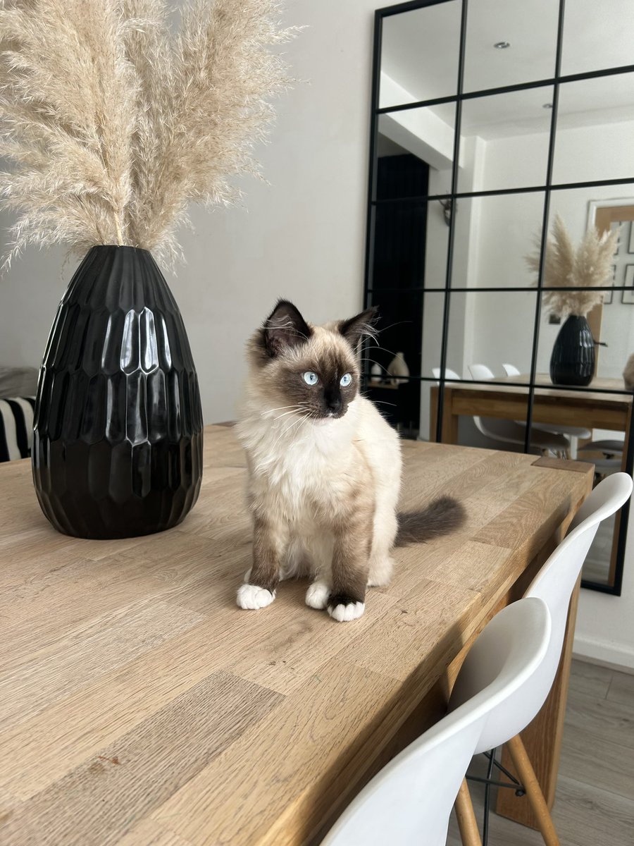 Tom Waythe tweet media