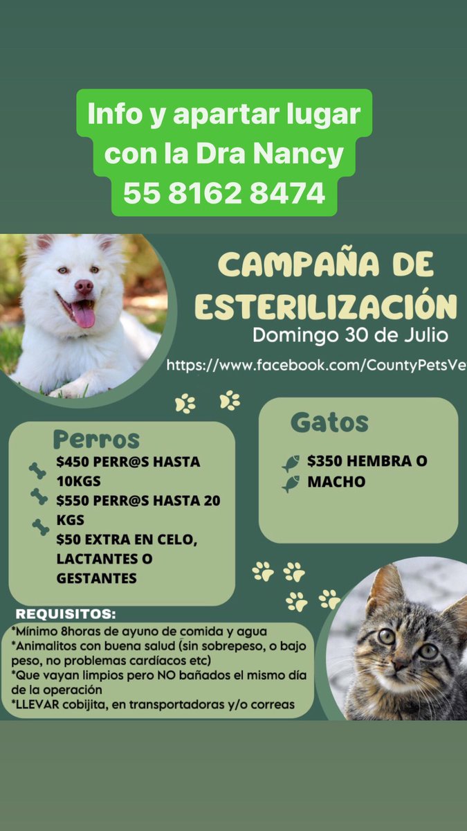 Peludos de Harley (@humana_harley) on Twitter photo Campaña de esterilización en zona <a href="/ElOlivardlConde/">El_OlivardelC</a> <a href="/AlfonsoXIII_/">Alfonso XIII</a> <a href="/InMixcoac/">𝕀𝕟𝕄𝕚𝕩𝕔𝕠𝕒𝕔</a> <a href="/MixcoacCDMX/">MIXCOAC CDMX</a> 🫶🏽❤️🖤🐶🐱 Aparten su lugar con la Dra Nancy 5581628474 Campaña de esterilización en zona <a href="/ElOlivardlConde/">El_OlivardelC</a> <a href="/AlfonsoXIII_/">Alfonso XIII</a> <a href="/InMixcoac/">𝕀𝕟𝕄𝕚𝕩𝕔𝕠𝕒𝕔</a> <a href="/MixcoacCDMX/">MIXCOAC CDMX</a> 🫶🏽❤️🖤🐶🐱 Aparten su lugar con la Dra Nancy 5581628474