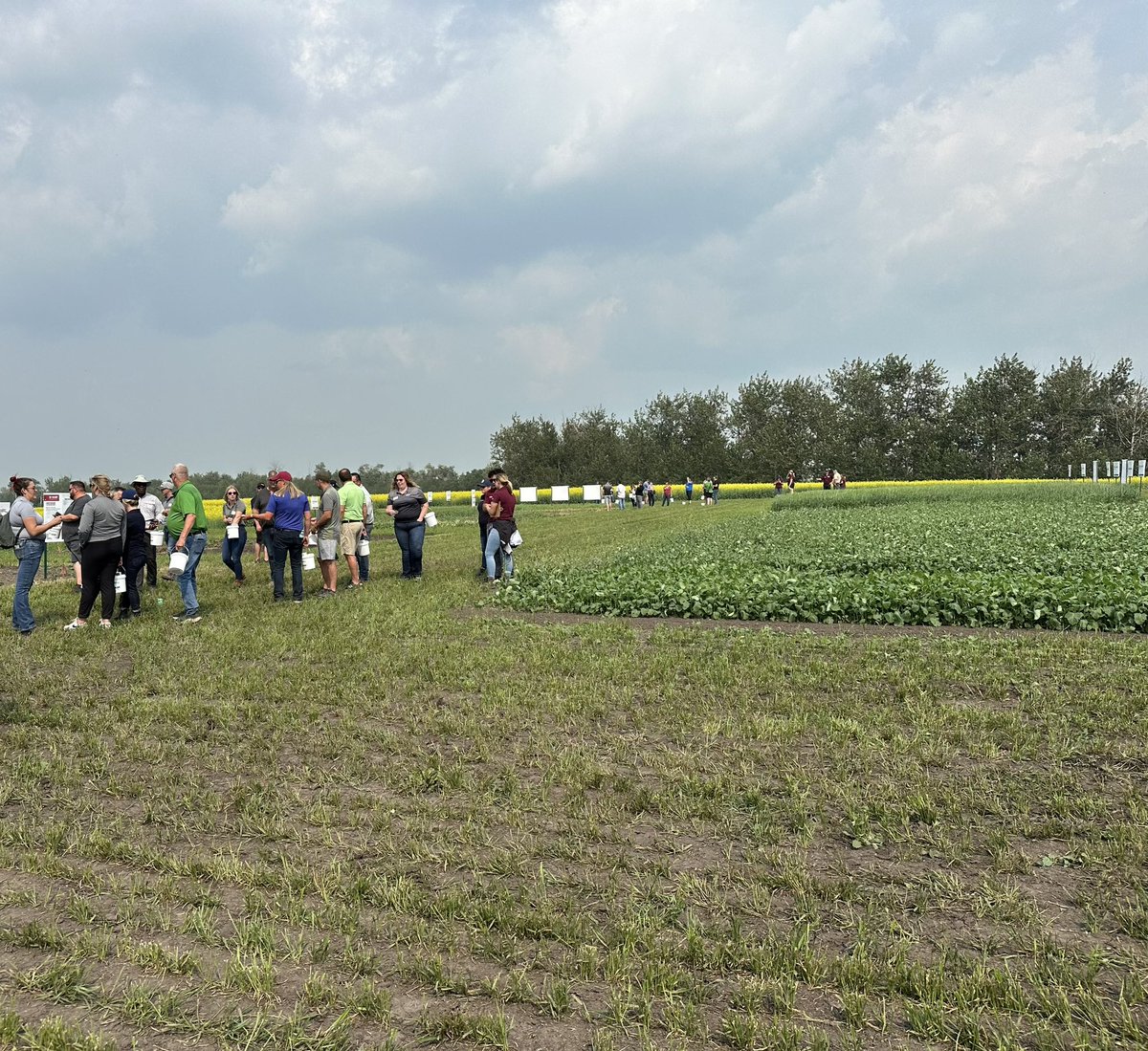 bethanyb_w's tweet photo. Had a great week of touring with the @BASFAgSolutions N AB team and @NutrienAgCda and checking out some #RevyPro fungicide trials in AB and SK. RevyPro was designed for western Canadian pulses and powered by the new unique active Revysol https://t.co/cCHBy0Tr3q
