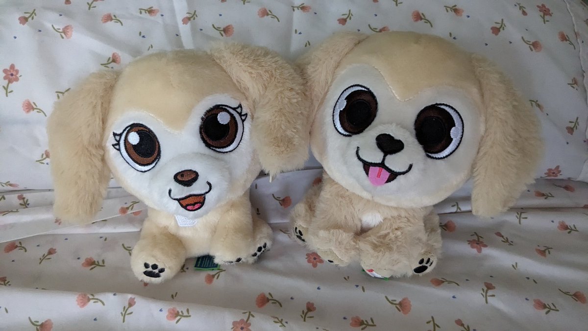 nedianema's tweet photo. @TheGoldenRatio4 she arrived today, so floofy, so derp 💛❤️💛 seesters reunited https://t.co/hsRNeAd7db