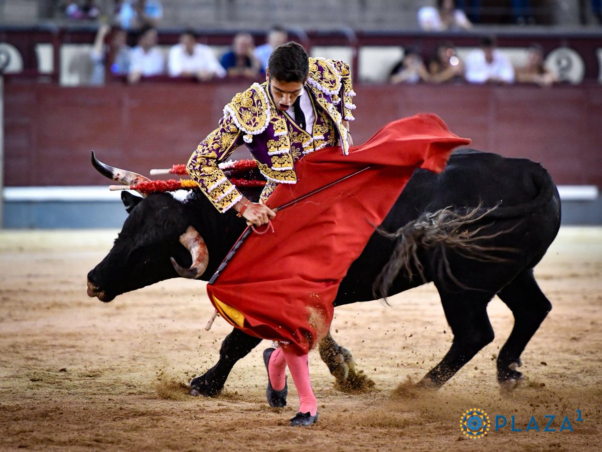 Plaza de Las Ventas tweet media