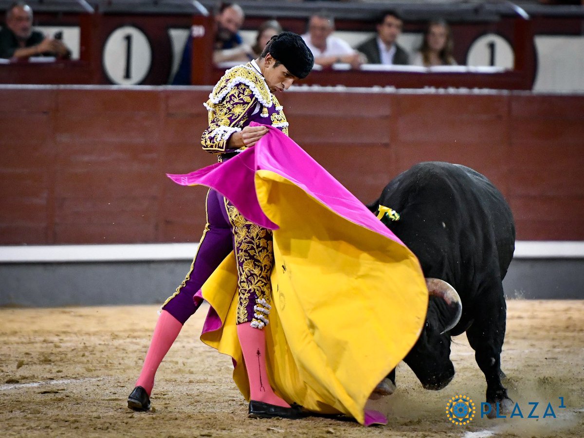 Plaza de Las Ventas tweet media