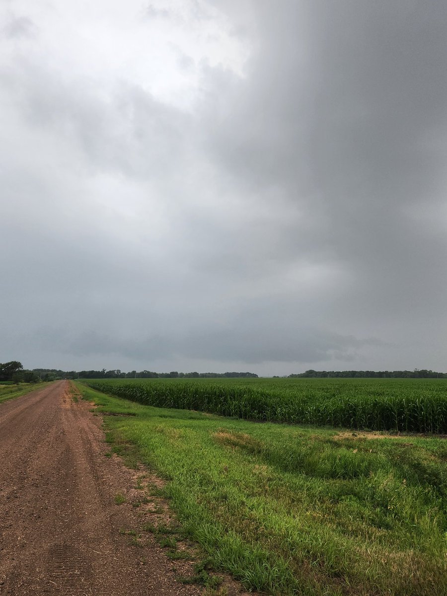 Embedded scuddy lowering approaching Halstad, MN. Weak rotation visible <a href="/NWSGrandForks/">NWS Grand Forks</a> #mnwx #ndwx