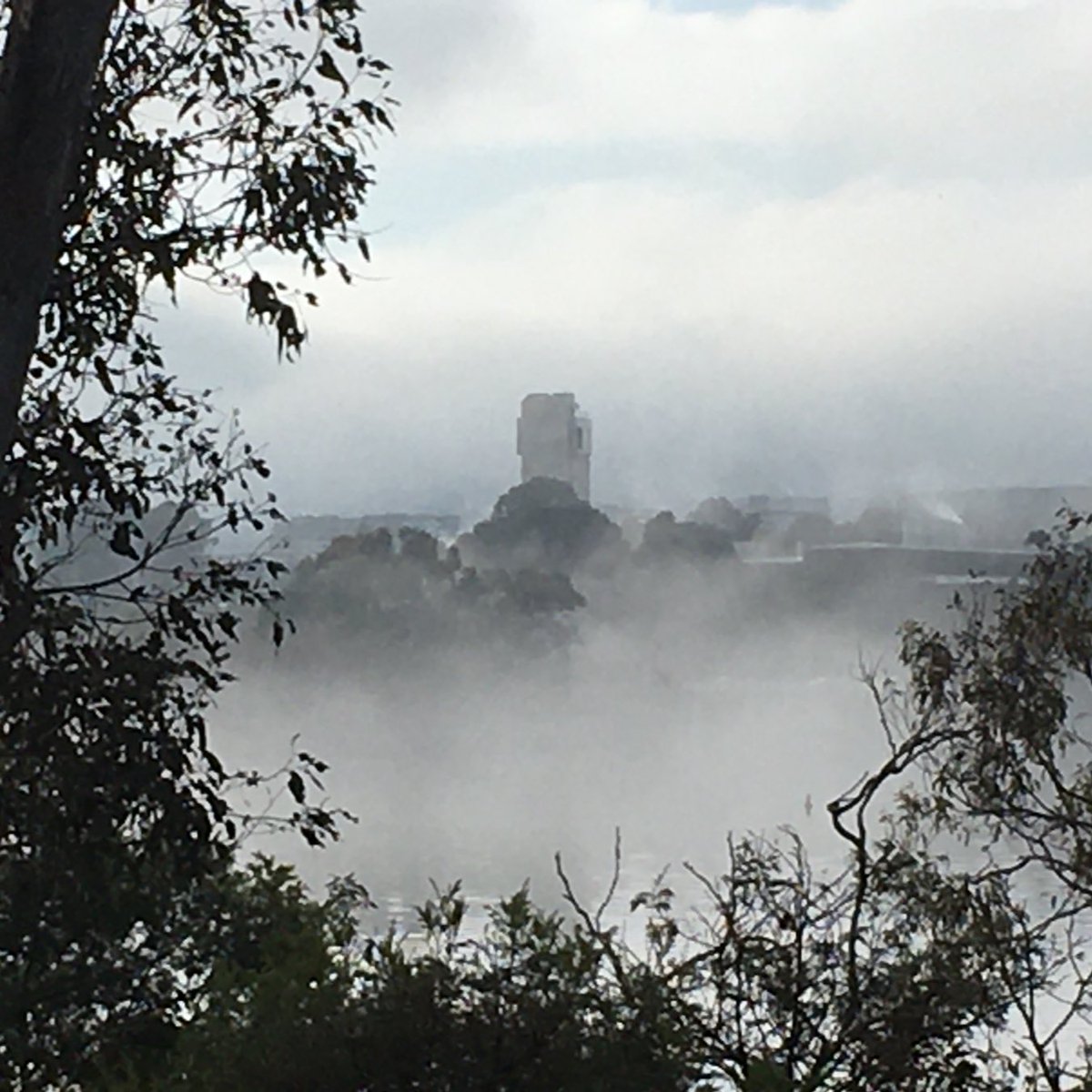 Heavy Ion Accelerators tweet media