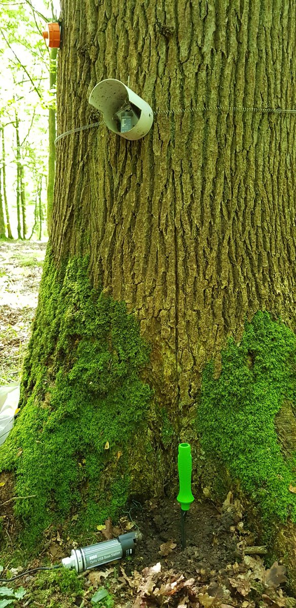 Jonathan Lenoir tweet media