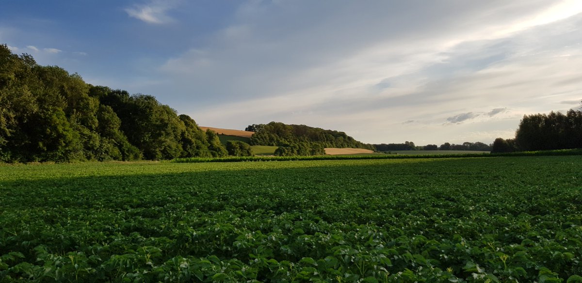 Jonathan Lenoir tweet media