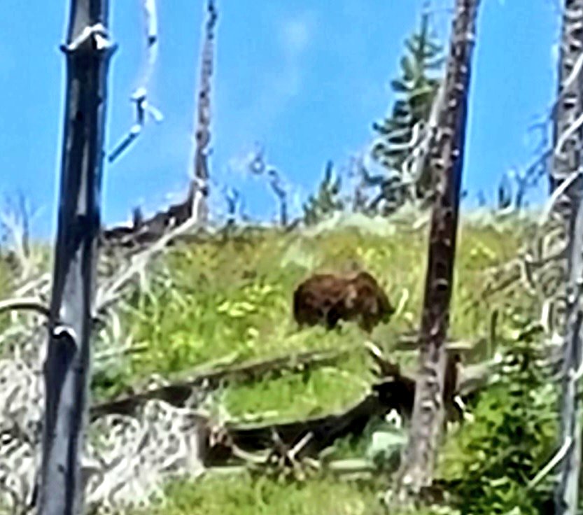 Stacy Henderson, MS tweet media